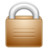 Security Icon